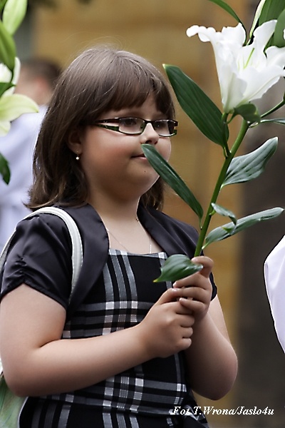 Obchody Dnia Św. Antoniego