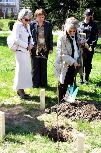 Pamięci ofiar Katynia