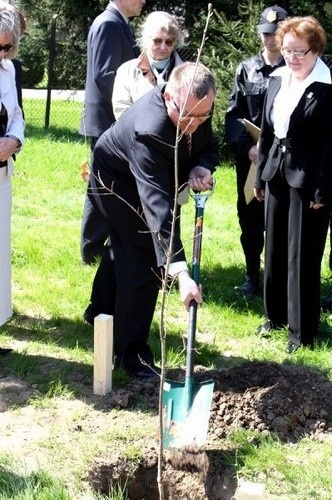Pamięci ofiar Katynia