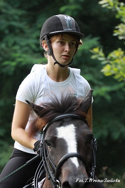 Piknik z Konikiem Polskim 2009 - dzień I