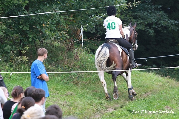Piknik z Konikiem Polskim 2009 - dzień I