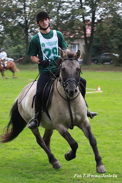 Piknik z Konikiem Polskim 2009 - dzień I