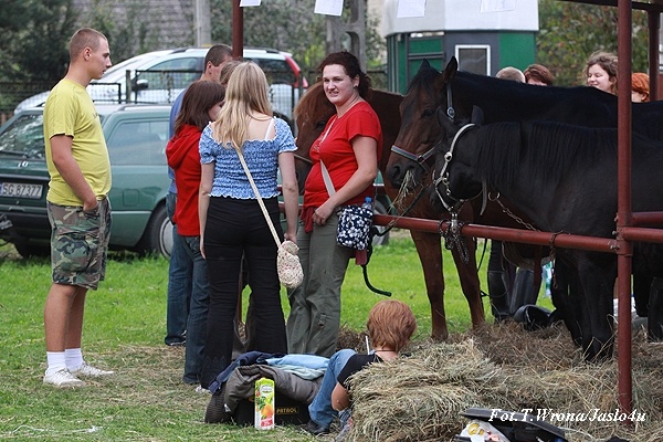 Piknik z Konikiem Polskim 2009 - dzień I
