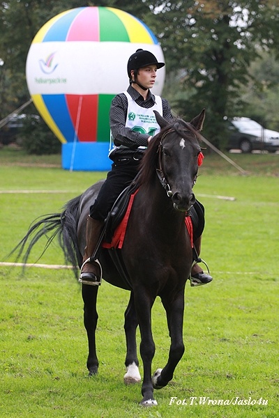 Piknik z Konikiem Polskim 2009 - dzień I