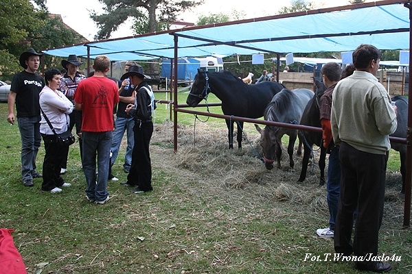 Piknik z Konikiem Polskim 2009 - dzień I