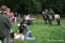 Piknik z Konikiem Polskim 2009 - dzień I