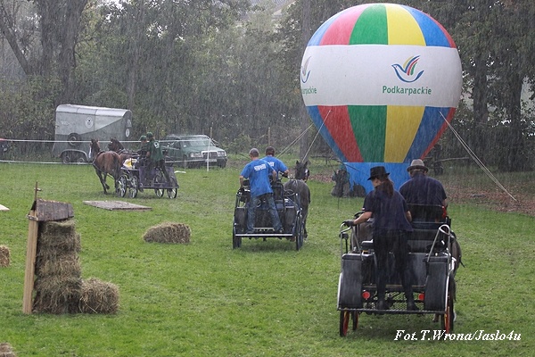 Piknik z Konikiem Polskim 2009 - dzień II