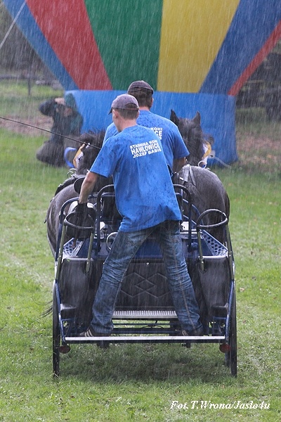 Piknik z Konikiem Polskim 2009 - dzień II