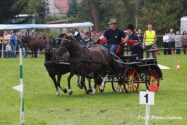 Piknik z Konikiem Polskim 2009 - dzień II