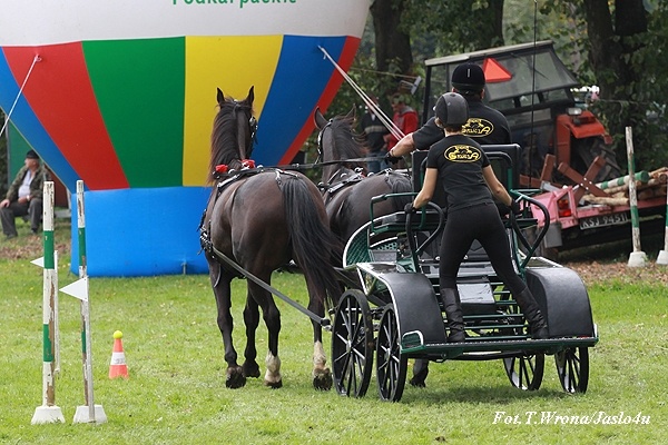 Piknik z Konikiem Polskim 2009 - dzień II