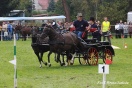 Piknik z Konikiem Polskim 2009 - dzień II