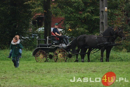 Piknik z Konikiem Polskim 2010 dz. II