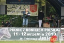 Piknik z Konikiem Polskim 2010 dz. II