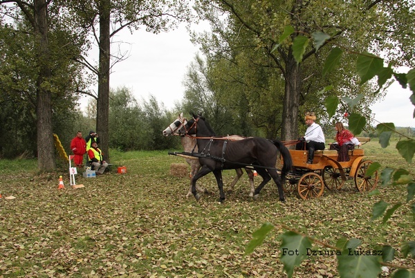 Piknik z Konikiem Polskim - II dzień - Fot. Łukasz Dziura