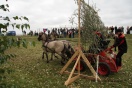 Piknik z Konikiem Polskim - II dzień - Fot. Łukasz Dziura