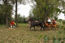 Piknik z Konikiem Polskim - II dzień - Fot. Łukasz Dziura