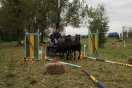 Piknik z Konikiem Polskim - II dzień - Fot. Łukasz Dziura