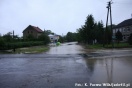 Powódź stulecia? Czeluśnica, Jasło