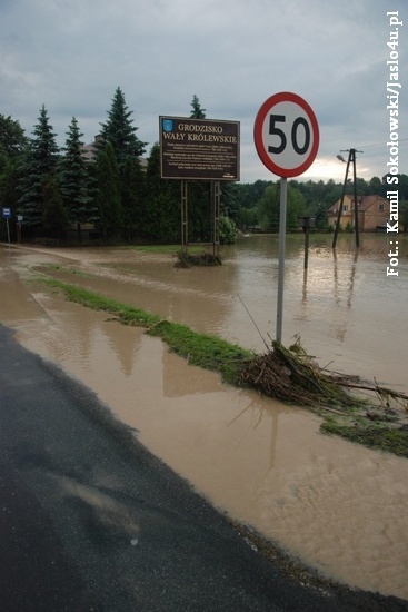Powódź w Trzcinicy