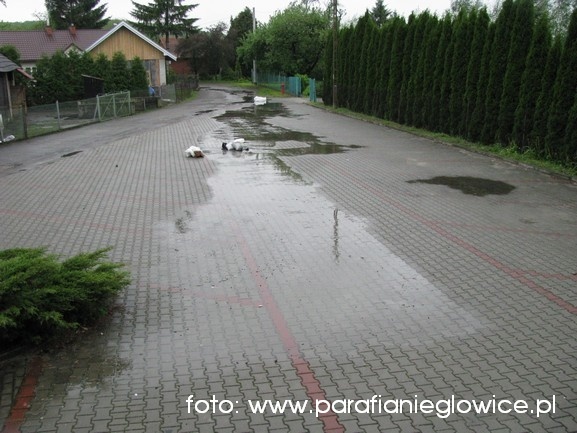 Powodzi cd. 17.05.2010 NOWE ZDJĘCIA!