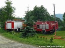 Pożar domu w Łysej Górze - 25.06.2009