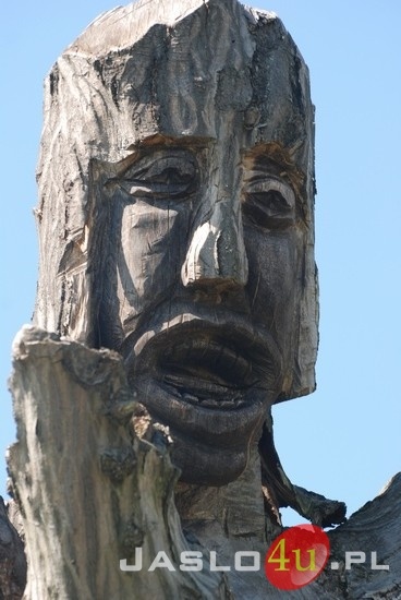 Ruszyły "Gogołowskie Drzewoludy"