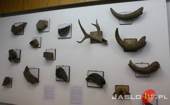 Skarby ziemi...w Muzeum Regionalnym