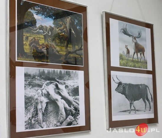 Skarby ziemi...w Muzeum Regionalnym