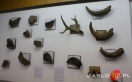 Skarby ziemi...w Muzeum Regionalnym
