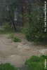Tarnowiec, Czeluśnica, Ul. Kolejowa w Jaśle - 16.05.2010