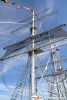 The Tall Ships Races Gdynia 2009