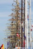 The Tall Ships Races Gdynia 2009