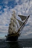 The Tall Ships Races Gdynia 2009