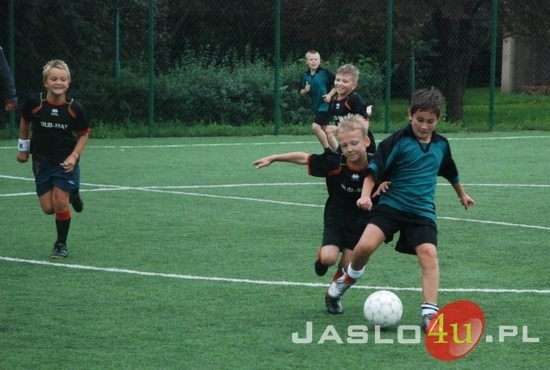 Turniej Dzikich Drużyn