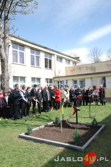 Uroczystość Zasadzenia Dębu Pamięci przy Szkole Podstawowej nr 4 w Jaśle