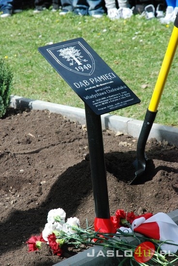 Uroczystość Zasadzenia Dębu Pamięci przy Szkole Podstawowej nr 4 w Jaśle