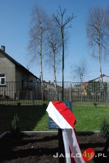 Uroczystość Zasadzenia Dębu Pamięci przy Szkole Podstawowej nr 4 w Jaśle