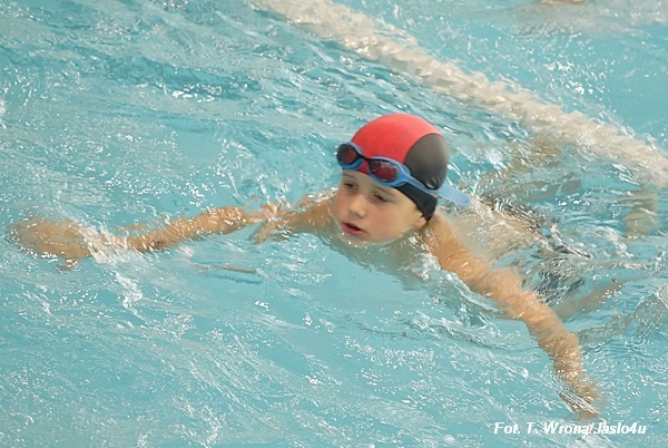 VI Family Cup Jasło 2008 - T. Wrona