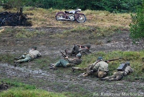 VII Zlot Militarny w Stępinie