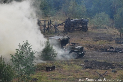 VII Zlot Militarny w Stępinie