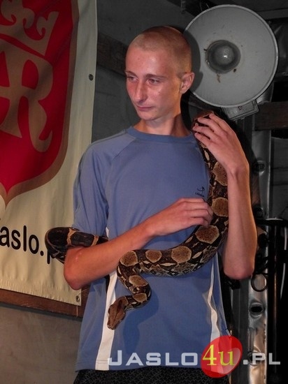 Węże na festynie w Gamracie