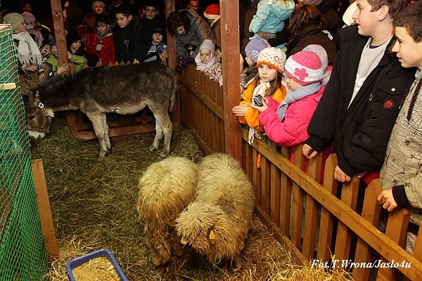 Żywa Szopka - Jasło 24.12.2009
