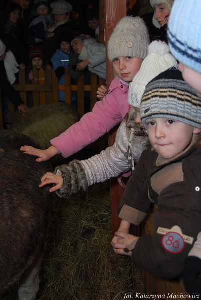 Żywa Szopka - Jasło 24.12.2009