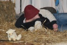 Żywa Szopka - Jasło 24.12.2009