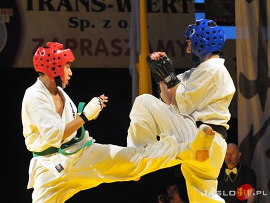 Gala karate