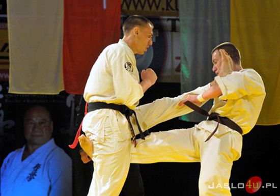 Gala karate