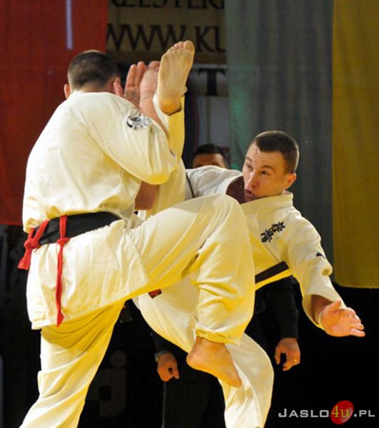 Gala karate
