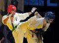 Gala karate