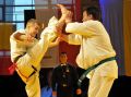 Gala karate