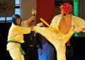 Gala karate